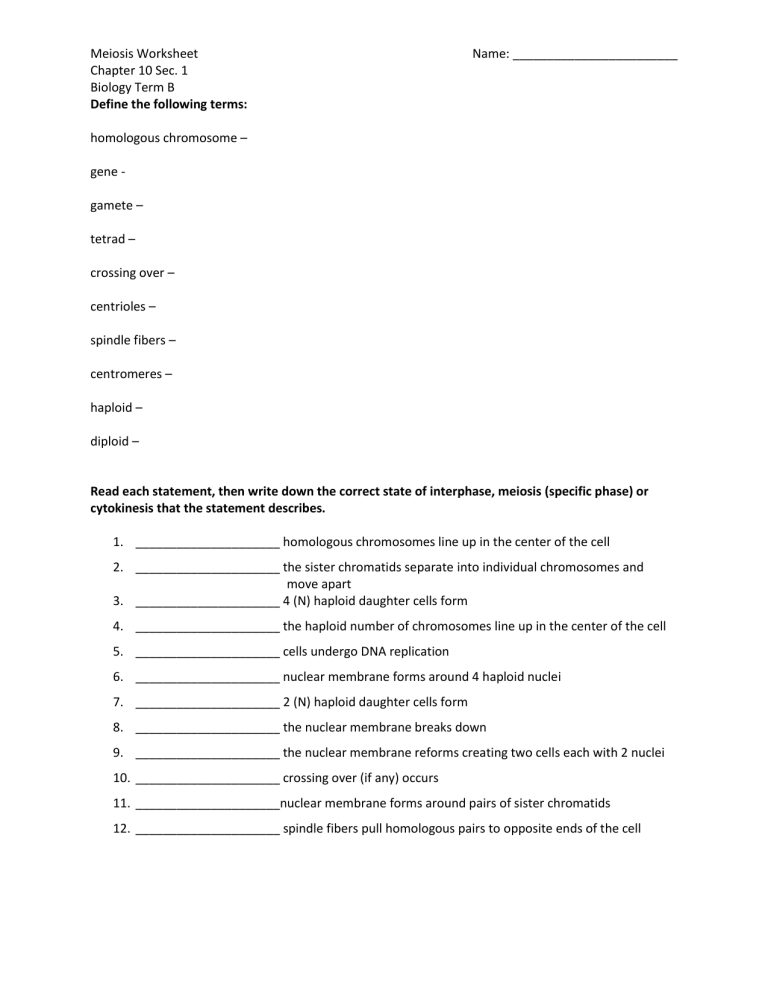sequencing meiosis worksheet answers Mitosis dihybrid