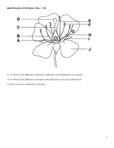 Flower Parts 2