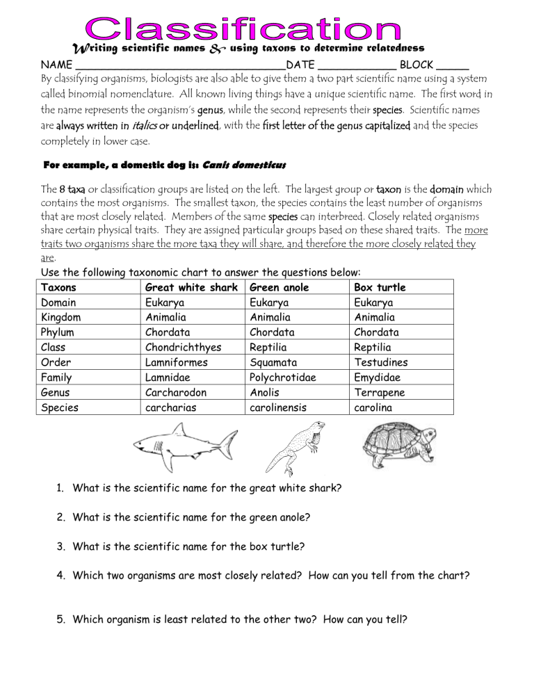 scientific-name-practice