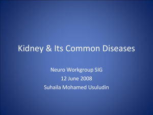kidney-for-presentation-1213194952210318-9