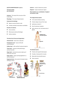 Anaphysio Reviewer