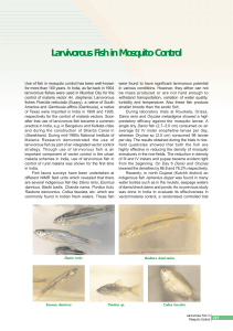 Larvivorous fish in mosquito control