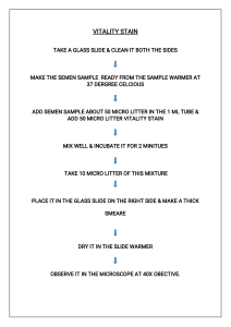 Flow chart for Staining method(1)