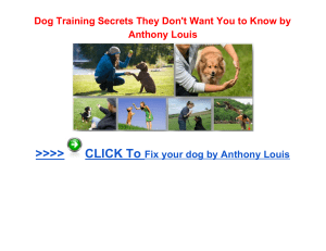 Dog Training Secrets they Don't Want You To Know About Anthony Louis