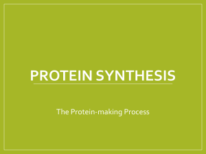 Protein Synthesis PPT (1)