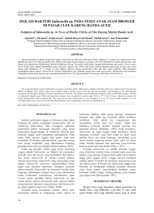 INOLASI BAKTERI SALMONELLA PADA FESES ANAK AYAM BROILER