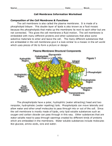 Cell membrane info WS Q