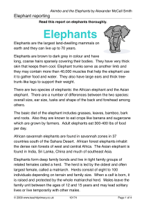 10174-elephant-report-writing 1