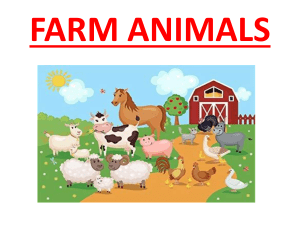 Farm Animals List