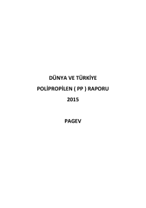 Dünya ve Türkiye Polipropilen Raporu 2015