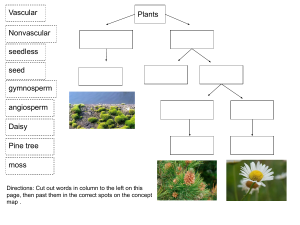 plant classification concept map