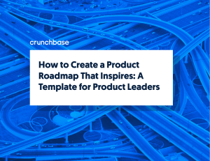 Product-Roadmap-Template v16