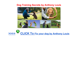 Dog Training Secrets Anthony Louis