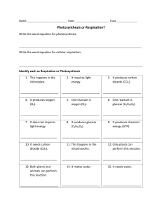 Photosynthesis worksheet (1)