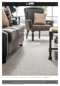 Carpet Cleaning   Shaw Floors