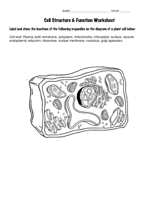 CellWorksheet pdf