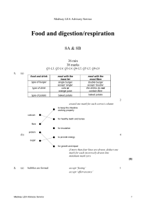 Food and digestion respiration