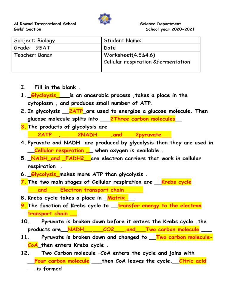 Cellular Respiration Fermentation Worksheet Answer Key 1 