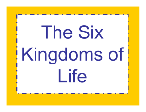 6-Kingdoms