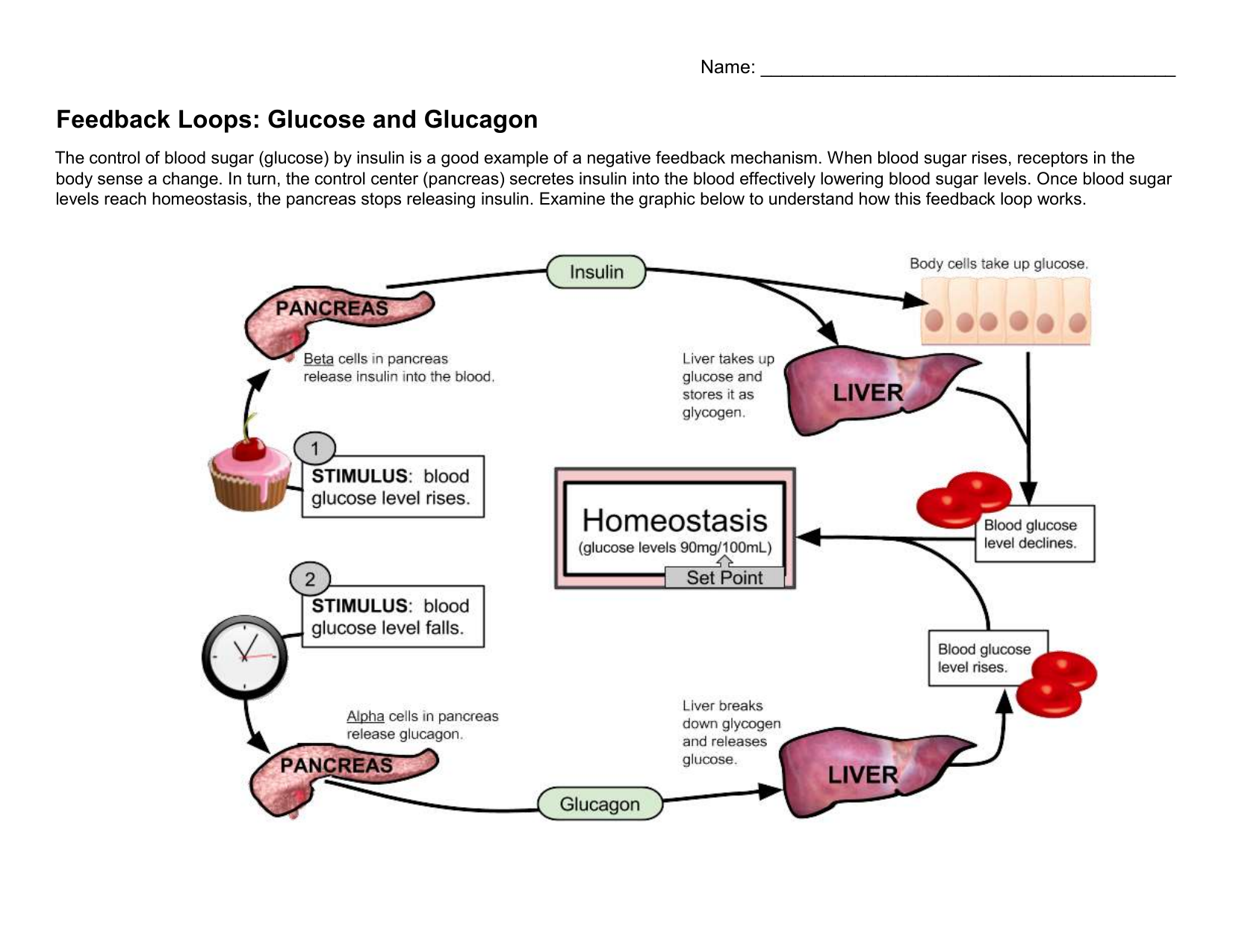 Feedback Loops