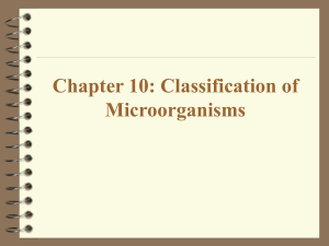 Ch10Classification