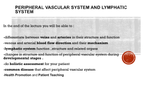 peripheral vascular system 
