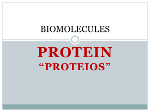 [SHS] Proteins and Enzymes