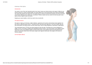 Anatomy of the Spine - Patients   DePuy Synthes Companies
