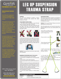 Leg Up Suspension Trauma Strap