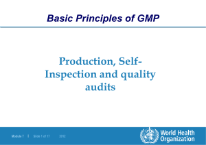 6.Self-inspection and Quality Audits