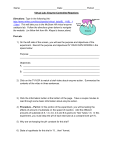 Enzyme-Controlled Reactions Virtual Lab Worksheet