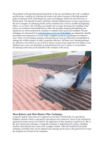 Importance of Roof Cleaning Operations for Good Lifespan