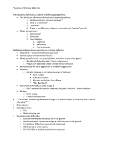 Theories Comp Exam