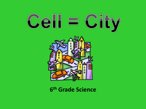 cell city ppt