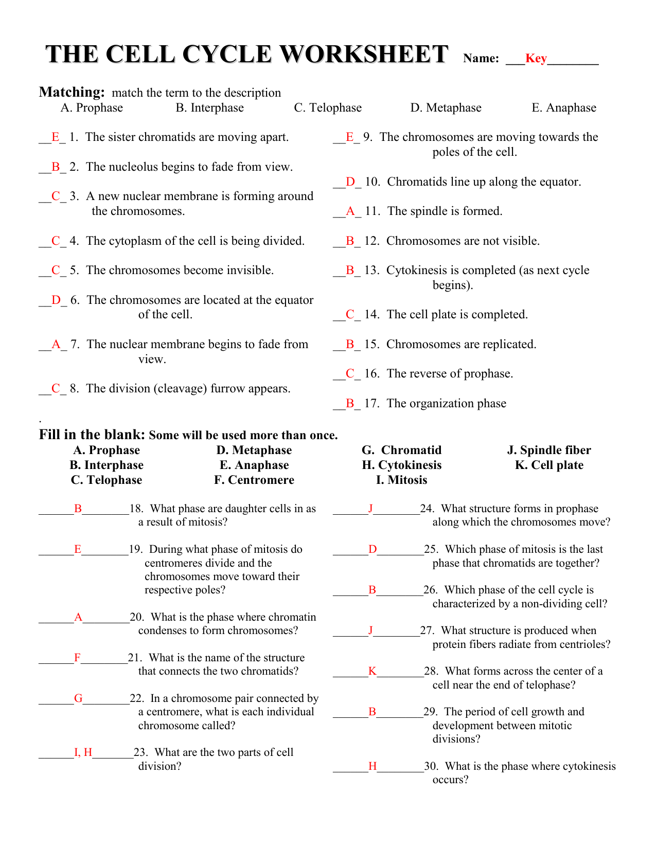 Cell Cycle Worksheet With Answers