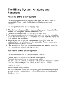 The Biliary System 2