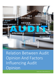Audit-Report