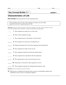 01 - Concept builder