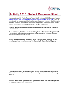 2.2.2.A.SRS StudentResponse