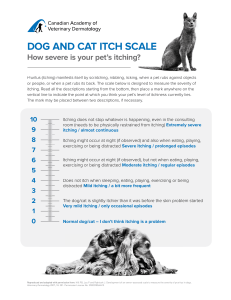 CAVD ITCH SCALE