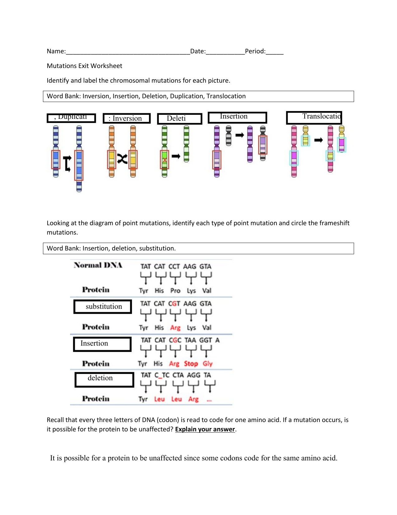 Mutations Exit Worksheet 1 