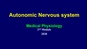 Autonomic Nervous system