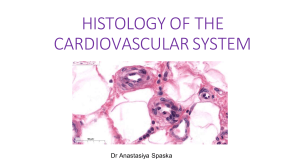 17.01 HISTOLOGY OF THE CARDIOVASCULAR SYSTEM compressed