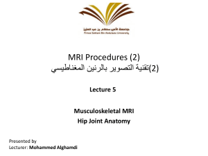 Lecture 5 Hip Anatomy