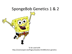 SpongeBobGenetics