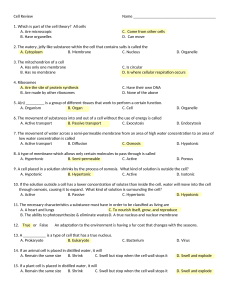 Cell Reviewtest