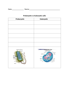 Prokaryotic vs Eukaryotic cells - blank