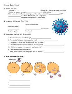 Viruses  (Guided Notes)
