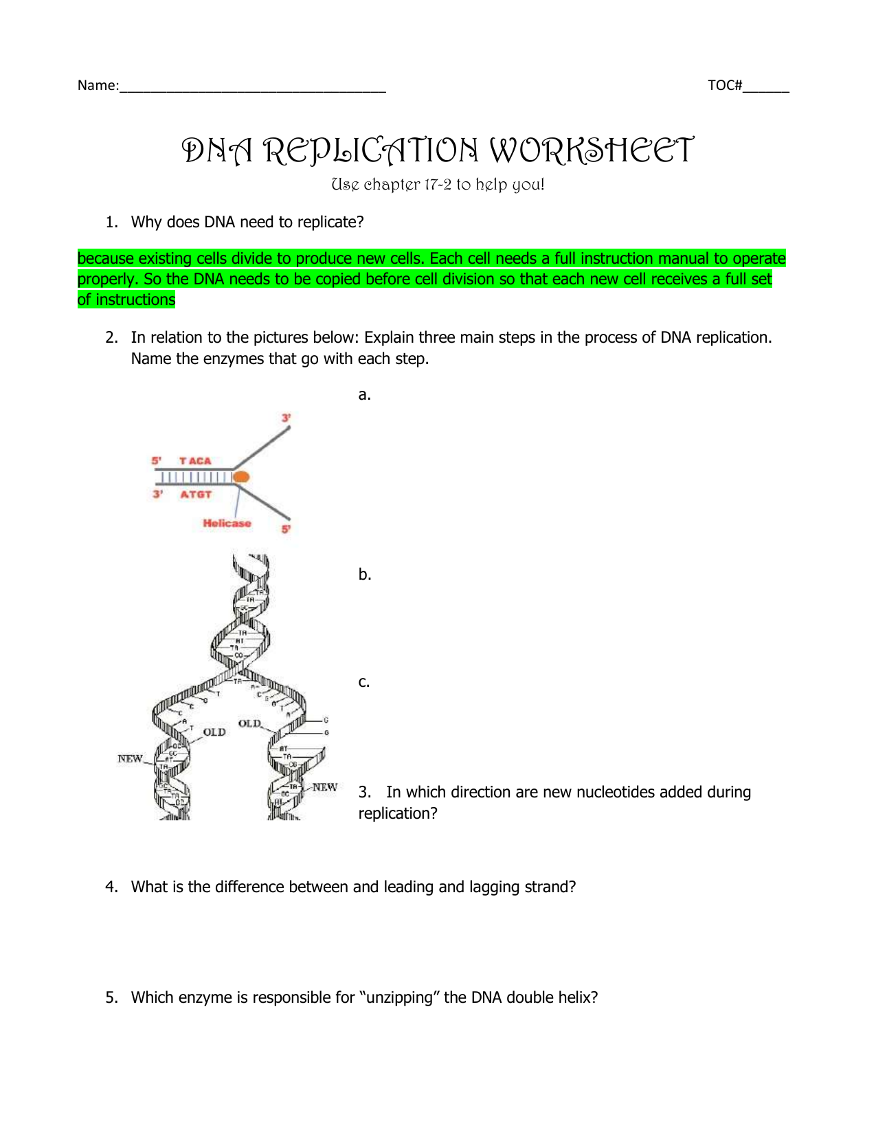 DNA Replication Worksheet GP25 Intended For Dna And Replication Worksheet