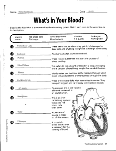 Kami Export - Mateo Santalucia - whats in your blood